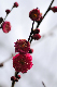 image0237