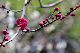 image0238