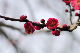 image0241