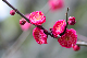 image0242