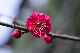image0243