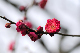 image0244