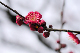 image0245