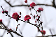 image0246