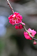 image0247