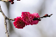 image0248