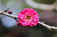 image0252