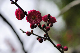 image0255