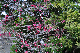 image0258
