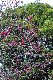 image0259