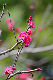 image0260