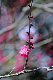 image0263