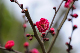image0265
