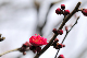 image0266