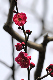 image0267