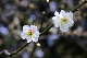 image0268