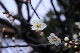 image0269