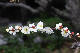 image0270