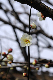 image0271