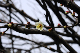 image0272
