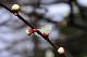 image0273