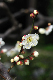 image0274