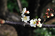 image0275