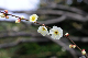 image0276