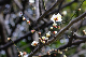 image0277
