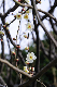 image0278