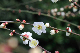image0279