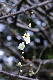 image0280