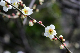 image0281