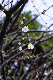 image0282
