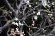 image0283