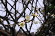 image0284