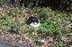 image0285