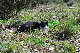 image0286