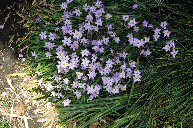 image0065