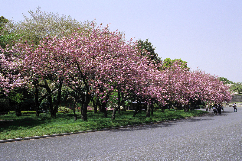 image0067