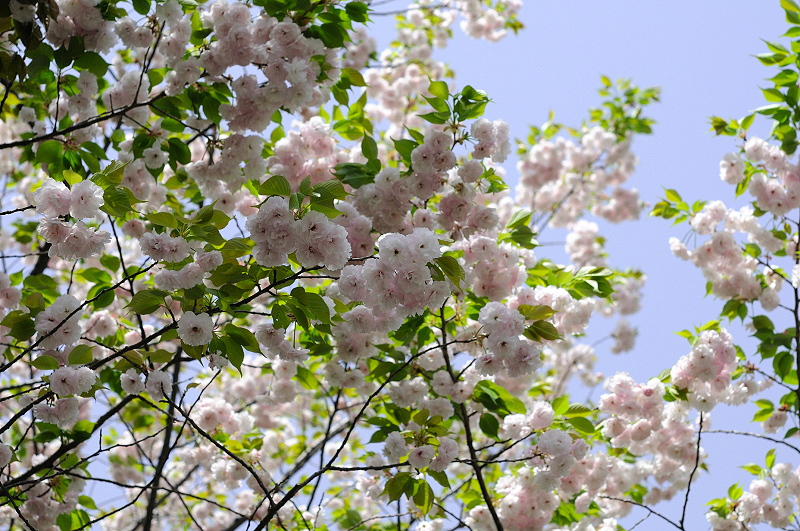 image0092