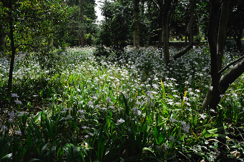 image0106