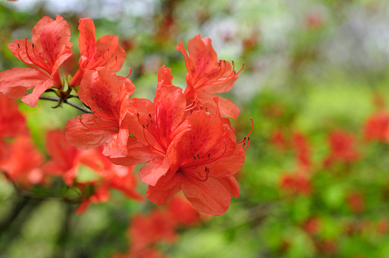 image0107