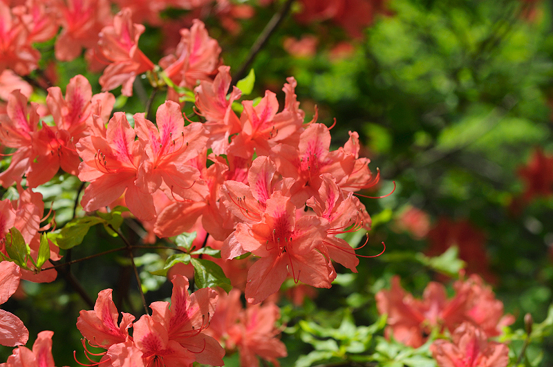 image0112