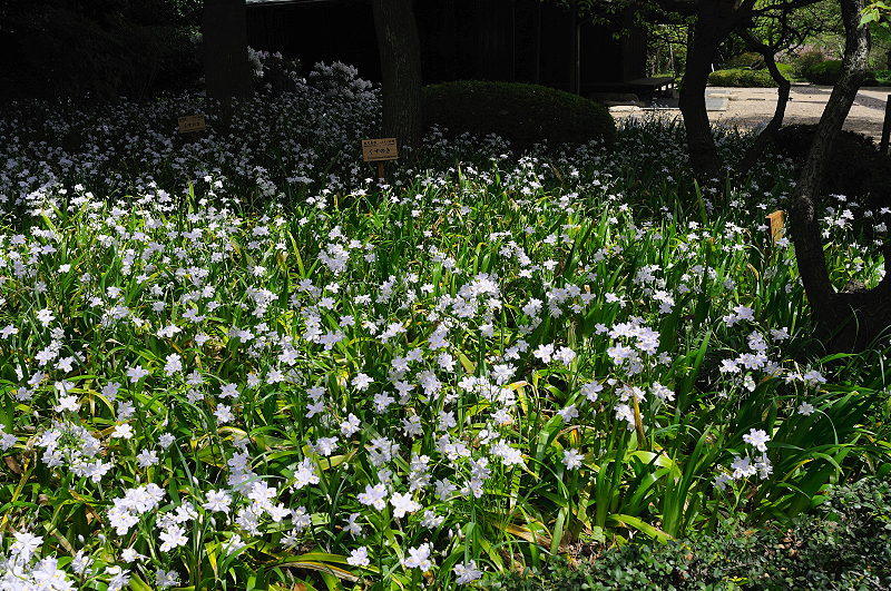 image0118