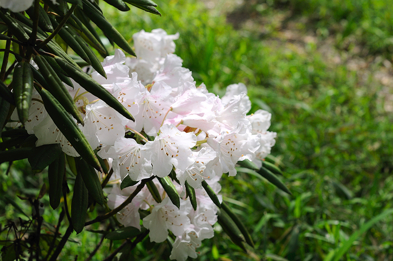 image0124