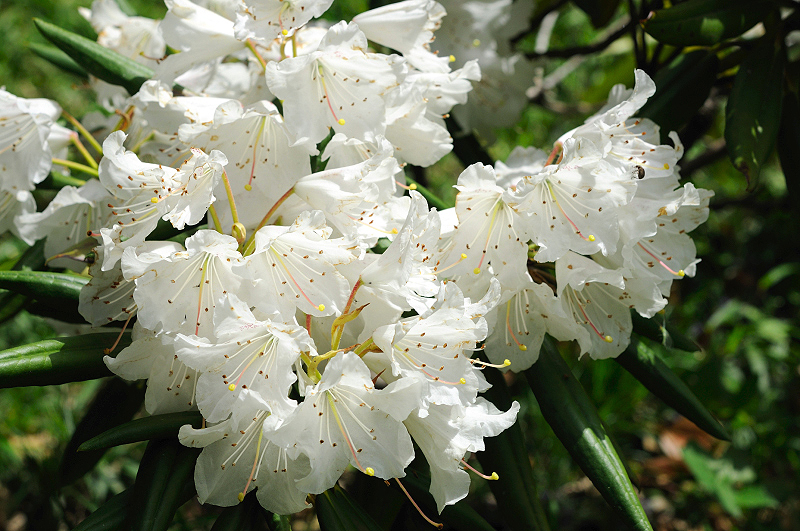 image0128