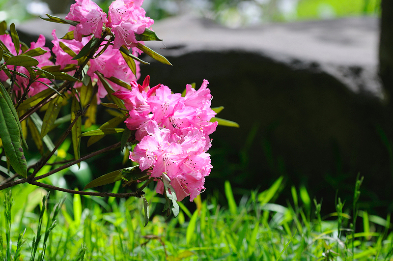 image0130