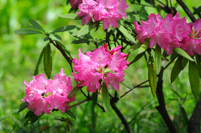 image0132