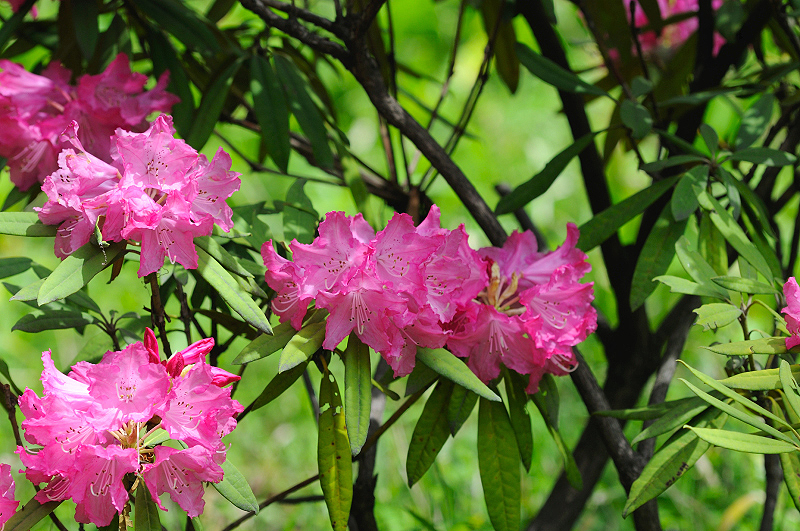 image0134
